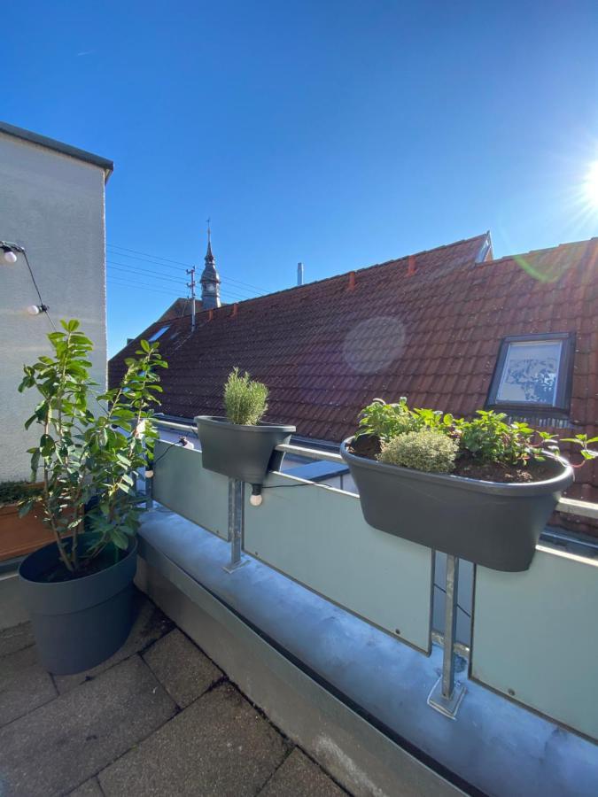אירינגן Ferienwohnung Kaiserblick מראה חיצוני תמונה